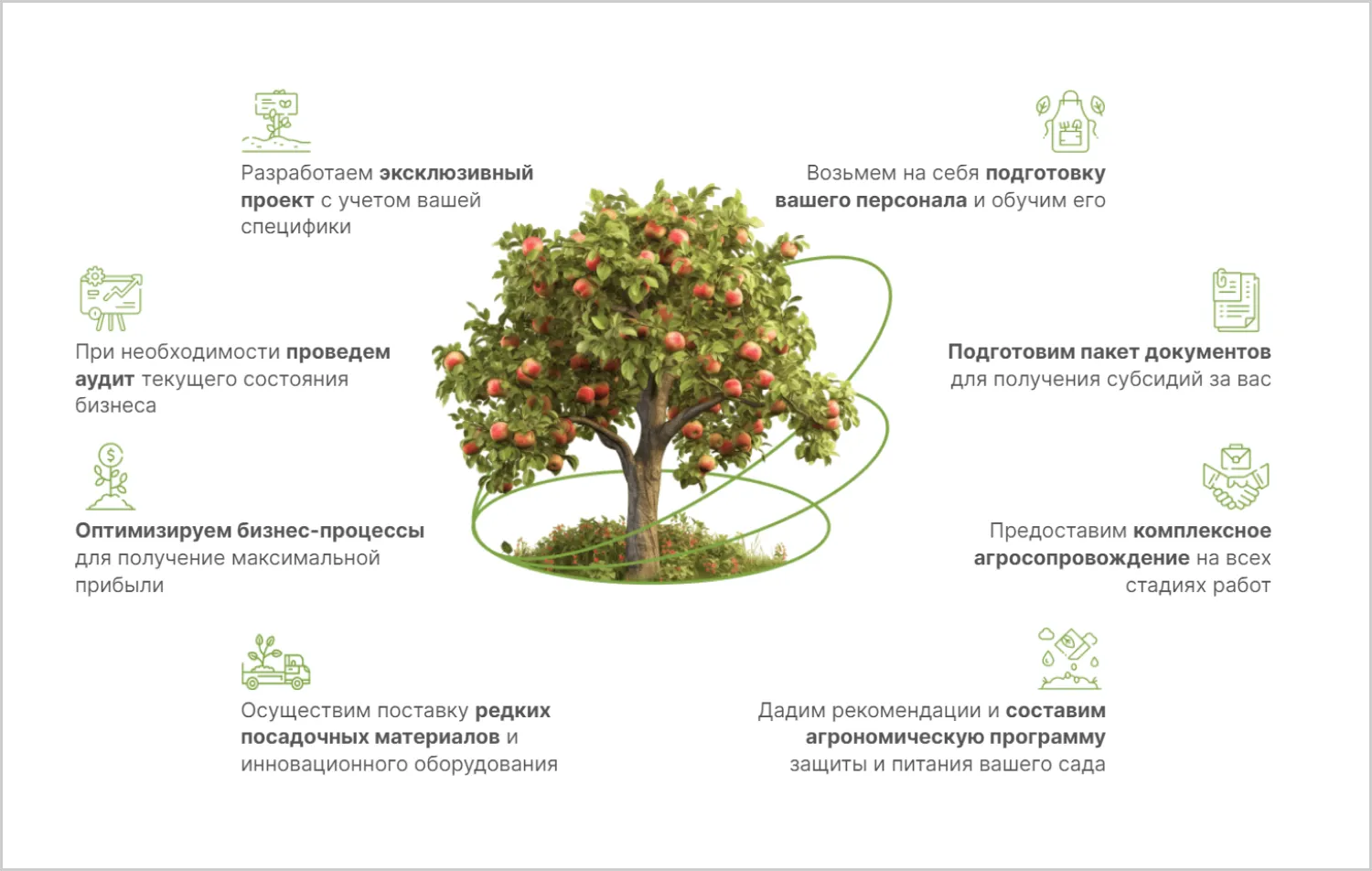 Кейс ART6 по созданию сайта – Advice&Consulting, изображение 17